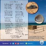 ของขวัญจากทะเล! 'เนาวรัตน์' แต่บทกวีให้ "เต่ามะเฟือง" ทช.เผยคลอดวาเลนไทน์