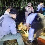 อุกอาจ! คนร้ายลงมือเหี้ยม กระหน่ำแทง 9 แผล หนุ่มดับอนาถข้างไร่ข้าวโพด