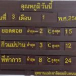 หนาวยะเยือกรับปีหมู! ดอยอินทนนท์สะท้าน ลบ2องศา แห่ชมเหมยขาบขาวโพลน