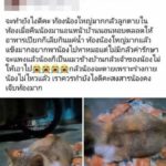 เจ้าของกรีดท้องแมว ควักลูกออก ผ่าเสร็จใช้เข็มเย็บผ้าเย็บแผล แม่แมวนอนซม ตายคาตะกร้า