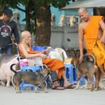 เปิดพินัยกรรมหลวงพ่อพูน เตรียมเคลื่อนสังขาร-สรงน้ำศพกลับวัด ลูกศิษย์สุดอาลัย