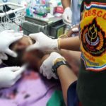 สุดสยอง! ฝูงหมาจรจัดนับสิบ รุมขย้ำหนูน้อย 7 ขวบ เลือดท่วม-เละทั้งตัว