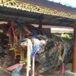 อบต.ขุดเจอ ตะเคียนทองยักษ์ 25 ต้น ใกล้วันหวยออก ชาวบ้านขอโชคลาภ-เลขเด็ด