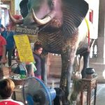 ไหว้หลวงพ่อปากแดง วัดพราหมณี-นครนายก : ข่าวสดหลากหลาย