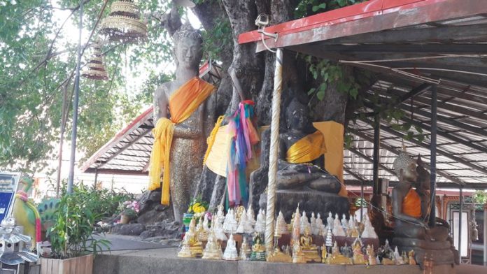 สืบสานบุญเบิกฟ้า