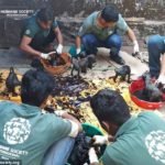 อาสาสมัครเช็ดล้างคราบน้ำมันดิน ภารกิจช่วยลูกสุนัข 8 ตัว กลับสู่อ้อมอกแม่