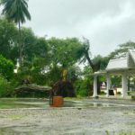 ประมวลภาพความเสียหาย ปาบึก ถล่ม 'เมืองคอน' เสาไฟ-ต้นไม้ โค่นระทึก