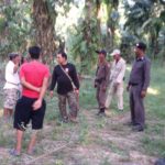 ตร.ปิดสวนปาล์ม ล่าหลานโหด ดักชิงทรัพย์ ฟันหัวป้าตัวเองเหวอะ