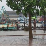 พายุปาบึกมาแล้ว! ปัตตานีฝนถล่มไม่หยุด เร่งอพยพผู้ป่วย เด็ก คนชรา 6 อำเภอ