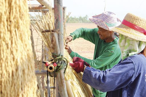 ปราสาทรวงข้าว วังพิกุล สืบสานประเพณีสู่ขวัญข้าว 
