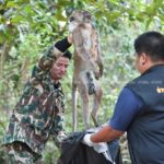ยื้อลมหายใจ! ลิงแสม รอดชีวิตตัวเดียว เหตุสังหารโหดครอบครัวตายหมด