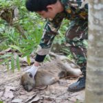 ยื้อลมหายใจ! ลิงแสม รอดชีวิตตัวเดียว เหตุสังหารโหดครอบครัวตายหมด