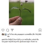 เบลล่า ไม่ติดใจ จ๋า ยศสินี อันฟอลโลว์ไอจี ยันรักกันดี แจงอาการ ฉี่เป็นเลือด
