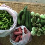 ชีวิตพลิกผัน! โดนไล่ออกจากงาน กลับบ้านนอก สู่วิถีชีวิต...เกษตรกร
