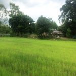 ชีวิตพลิกผัน! โดนไล่ออกจากงาน กลับบ้านนอก สู่วิถีชีวิต...เกษตรกร