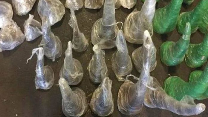 ปรบมือรัวๆ เจ้าหน้าที่ตูบนักดม