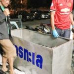 ตะลึง! ‘ยาบ้า’ เกือบล้านเม็ด ซุกตู้แช่อาหารทะเล ส่งตรงจากเชียงราย