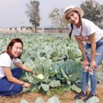 ‘หยาดทิพย์’พักรัก-พาเที่ยว‘เจียไต๋แฟร์ฯ’ ชมความมหัศจรรย์พันธุ์ผักและดอกไม้