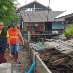 บางกระเจ้ายังไม่รอด พายุปาบึกเล่นงาน ชาวบ้านครวญหนักสุดในรอบ 30 ปี