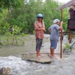 บางกระเจ้ายังไม่รอด พายุปาบึกเล่นงาน ชาวบ้านครวญหนักสุดในรอบ 30 ปี