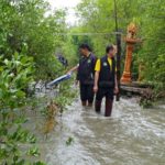 บางกระเจ้ายังไม่รอด พายุปาบึกเล่นงาน ชาวบ้านครวญหนักสุดในรอบ 30 ปี