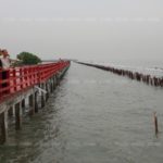 บางกระเจ้ายังไม่รอด พายุปาบึกเล่นงาน ชาวบ้านครวญหนักสุดในรอบ 30 ปี