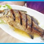 เดอะคอคเคิลซีฟู้ด - ปรุงสดจานต่อจาน : ข่าวสดอิ่มอร่อย