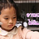 แม่แอฟ ทักษอร ทำอะไร น้องปีใหม่ ถึงกับร้องไห้หนัก ขอโทษลูก แม่ผิดเอง (คลิป)