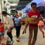 แจ้งจับเพื่อนบ้าน ฟันพิตบูลขาขาดกระเด็น เจ้าของอุ้มร่างโชกเลือดส่ง ร.พ. ก่อนตายอนาถ