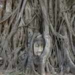 ไหว้พระ 9 วัด อยุธยา ทำบุญขอพร-ชมโบราณสถาน   (คลิป)