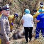 ศพนิรนาม โผล่อืดป่าริมถนนระยอง ตร.ยังมึนไม่รู้เป็นใคร