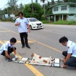 ทุกชีวิตล้วนมีความหมาย เผยเรื่องราวสุดอบอุ่นใจ หลังหมาจรจัดโดนชนแล้วหนี