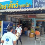 ทุกชีวิตล้วนมีความหมาย เผยเรื่องราวสุดอบอุ่นใจ หลังหมาจรจัดโดนชนแล้วหนี