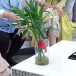 หมอช้าง เผย3ราศี รวยขึ้นมากๆ หยิบจับอะไรเป็นเงินเป็นทอง แนะ3สิ่งสุดเฮงต้องมีปี62