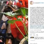 กู้ภัยหลวงพระบาง หาม วู้ดดี้ เพิ่งทำบุญ-เกิดอุบัติเหตุ แค่แมว-ไม่น่าเชื่อชักใหญ่เรื่อยๆ(คลิป)