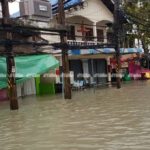 ประมวลภาพความเสียหาย ปาบึก ถล่ม 'เมืองคอน' เสาไฟ-ต้นไม้ โค่นระทึก