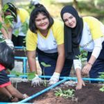 ‘นักศึกษาสิงห์อาสา’สานต่อไอเดีย แปลงเกษตรลอยน้ำ-ป้องกันอุทกภัย