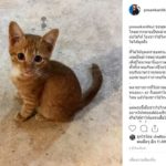 ดราม่ารุนแรง แพรว คณิตกุล ขอพูดเอง เผยแล้ว หลังเลิก ฟรอยด์ คนรุมถล่มฝ่ายชาย