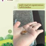 สาวตื้นตัน! บีทีเอส รื้อบันไดเลื่อน หาต่างหูเพชร เผยบทสนทนา จนชาวเน็ตแซวหนัก