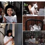 มันทรมานมาก! "โบว์" เปิดใจสุดช้ำ เผยรัก 10 ปี ป๊อป ปองกูล ช็อกข่าววิวาห์-คบซ้อน