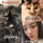 หวิดเสียโฉม! ดาราสาว แก้มบุ๋ม เลือดอาบหน้า โดนเข้าเต็มๆ แฟนคลับตกใจ