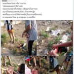 สุดสลดใจ! แม่คลอดลูกน้อย ทิ้งกองขยะข้างทาง-ตัวยังแดงๆ ลูกน้อยรอดตายปาฏิหาริย์