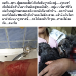หนุ่มสุดแค้น สุนัขตัวโปรด โดนคนใจโหด ตีจนต้องควักตาซ้ายทิ้ง!