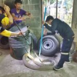 ด.ญ.ช็อก! จงอางยักษ์ ยาว 4 เมตร เลื้อยผ่านหน้า เพื่อนบ้านส่องเลขเด็ดเสี่ยงโชค