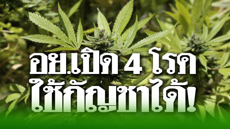 เฮ! อย.เผย 4 โรค ใช้ประโยชน์จากกัญชาได้ เตรียมออกอนุบัญญัติกัญชาทางการแพทย์ - ข่าวสด เฮ! อย.เผย 4 โรค ใช้ประโยชน์จากกัญชาได้ เตรียมออกอนุบัญญัติกัญชาทางการแพทย์ - ข่าวสด