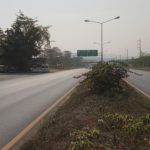 ฝุ่นละออง ที่แพร่ทะยานสูง หลังชาวบ้านเร่งเผาป่า ก่อนถึงกำหนด มาตรการรัฐแก้ไขไม่ได้