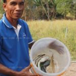 พลาดถึงสิ้นชีวิต! แอบต่อไฟในบ้านชอร์ตปลาทำกับแกล้ม สุดท้ายไฟดูดตาย
