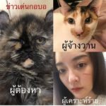 แก้มบุ๋ม โดนแมวข่วนหน้า หวิดเสียโฉม วาเลนไทน์ไม่เหงา มีหนุ่มคุย