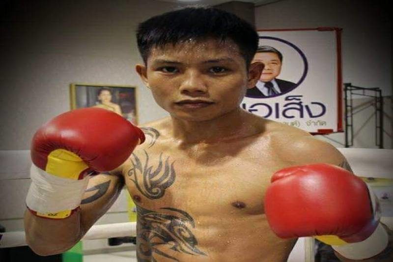 เด่นนภา 