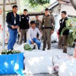 รวบคาสมุย สิงห์รถบรรทุก ซุก ใบกระท่อม 10 กระสอบ ขายนักท่องเที่ยว